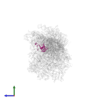Small ribosomal subunit protein bS16m in PDB entry 8om2, assembly 1, side view.