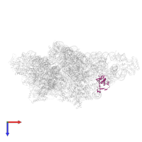 Small ribosomal subunit protein bS16m in PDB entry 8om2, assembly 1, top view.