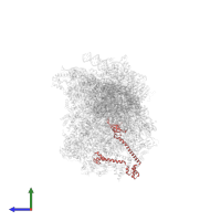 Small ribosomal subunit protein uS17m in PDB entry 8om2, assembly 1, side view.