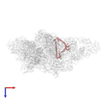 Small ribosomal subunit protein uS17m in PDB entry 8om2, assembly 1, top view.