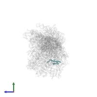 Small ribosomal subunit protein bS18m in PDB entry 8om2, assembly 1, side view.