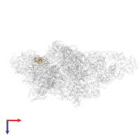 Small ribosomal subunit protein uS19m in PDB entry 8om2, assembly 1, top view.