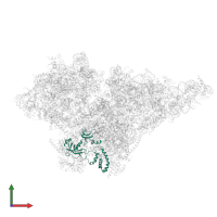 Small ribosomal subunit protein bS1m in PDB entry 8om2, assembly 1, front view.