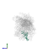 Small ribosomal subunit protein bS1m in PDB entry 8om2, assembly 1, side view.