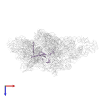Small ribosomal subunit protein mS23 in PDB entry 8om2, assembly 1, top view.