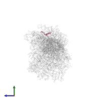 Small ribosomal subunit protein mS33 in PDB entry 8om2, assembly 1, side view.