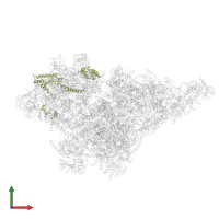 Small ribosomal subunit protein mS35 in PDB entry 8om2, assembly 1, front view.