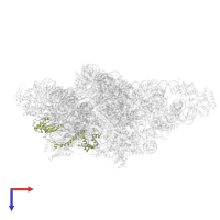 Small ribosomal subunit protein mS35 in PDB entry 8om2, assembly 1, top view.