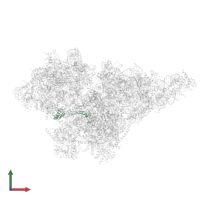 Small ribosomal subunit protein mS37 in PDB entry 8om2, assembly 1, front view.