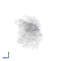 Small ribosomal subunit protein mS38 in PDB entry 8om2, assembly 1, side view.