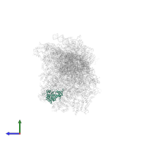 Small ribosomal subunit protein mS42 in PDB entry 8om2, assembly 1, side view.