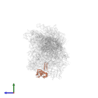 Small ribosomal subunit protein mS43 in PDB entry 8om2, assembly 1, side view.