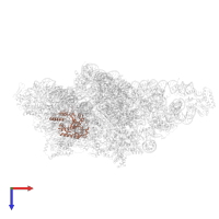 Small ribosomal subunit protein mS43 in PDB entry 8om2, assembly 1, top view.