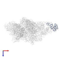 Small ribosomal subunit protein mS27 in PDB entry 8om2, assembly 1, top view.