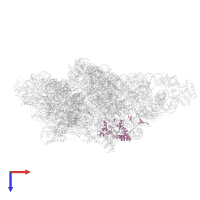 Small ribosomal subunit protein mS45 in PDB entry 8om2, assembly 1, top view.