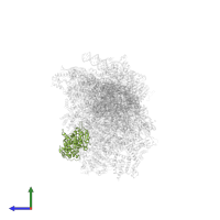 Small ribosomal subunit protein mS47 in PDB entry 8om2, assembly 1, side view.