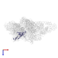 Small ribosomal subunit protein uS3m in PDB entry 8om2, assembly 1, top view.