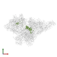 Small ribosomal subunit protein uS5m in PDB entry 8om2, assembly 1, front view.