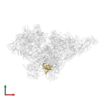 Small ribosomal subunit protein bS6m in PDB entry 8om2, assembly 1, front view.
