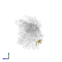 Small ribosomal subunit protein bS6m in PDB entry 8om2, assembly 1, side view.