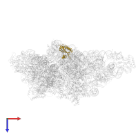 Small ribosomal subunit protein bS6m in PDB entry 8om2, assembly 1, top view.