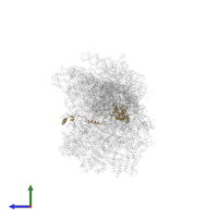 Small ribosomal subunit protein uS7m in PDB entry 8om2, assembly 1, side view.