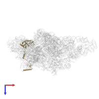 Small ribosomal subunit protein uS7m in PDB entry 8om2, assembly 1, top view.