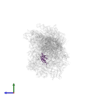 Small ribosomal subunit protein uS8m in PDB entry 8om2, assembly 1, side view.