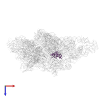 Small ribosomal subunit protein uS8m in PDB entry 8om2, assembly 1, top view.