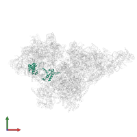 Small ribosomal subunit protein uS9m in PDB entry 8om2, assembly 1, front view.