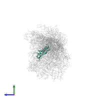Small ribosomal subunit protein uS9m in PDB entry 8om2, assembly 1, side view.