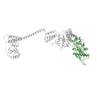 The deposited structure of PDB entry 8om7 contains 6 copies of Pfam domain PF05362 (Lon protease (S16) C-terminal proteolytic domain) in Lon protease homolog, mitochondrial. Showing 1 copy in chain A.