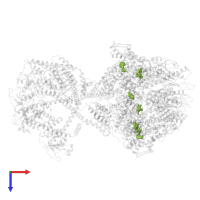 ADENOSINE-5'-DIPHOSPHATE in PDB entry 8om7, assembly 1, top view.