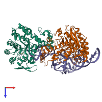 Hetero trimeric assembly 1 of PDB entry 8omr coloured by chemically distinct molecules, top view.