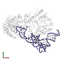 tRNAAsp in PDB entry 8omr, assembly 1, front view.