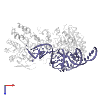 tRNAAsp in PDB entry 8omr, assembly 1, top view.
