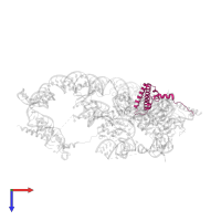 dolichyl-diphosphooligosaccharide--protein glycotransferase in PDB entry 8onz, assembly 1, top view.
