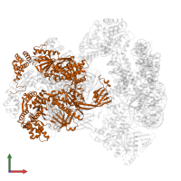 RuvB-like helicase in PDB entry 8oo7, assembly 1, front view.