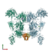 PDB entry 8oq3 coloured by chain, front view.
