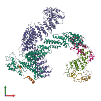 PDB entry 8or4 coloured by chain, front view.