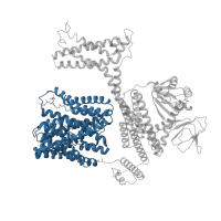 The deposited structure of PDB entry 8otq contains 2 copies of Pfam domain PF00999 (Sodium/hydrogen exchanger family) in Cyclic nucleotide-binding domain-containing protein. Showing 1 copy in chain A.