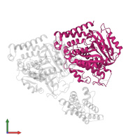 Tubulin alpha-3 chain in PDB entry 8ou0, assembly 1, front view.