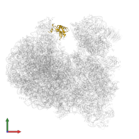 Large ribosomal subunit protein uL5 in PDB entry 8ovj, assembly 1, front view.