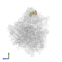 Large ribosomal subunit protein uL5 in PDB entry 8ovj, assembly 1, side view.