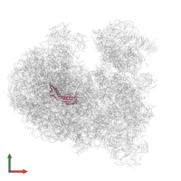 Large ribosomal subunit protein uL6 alpha-beta domain-containing protein in PDB entry 8ovj, assembly 1, front view.
