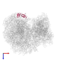 Large ribosomal subunit protein uL6 alpha-beta domain-containing protein in PDB entry 8ovj, assembly 1, top view.