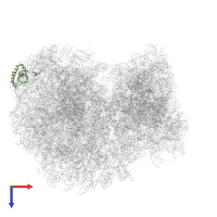 Putative 60S ribosomal protein L6 in PDB entry 8ovj, assembly 1, top view.