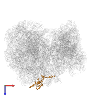 60S ribosomal protein L7a in PDB entry 8ovj, assembly 1, top view.