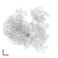 Putative 60S ribosomal protein L23 in PDB entry 8ovj, assembly 1, front view.