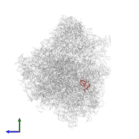 Putative 60S ribosomal protein L23 in PDB entry 8ovj, assembly 1, side view.